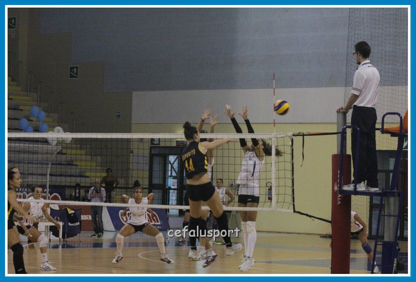 121020 Savio2 012_tn.jpg